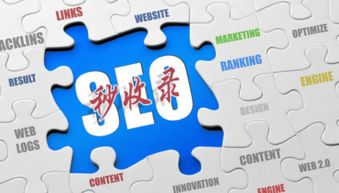 互聯(lián)網(wǎng)營(yíng)銷實(shí)戰(zhàn)指南 破解網(wǎng)站收錄難題，實(shí)現(xiàn)銷售落地為王